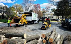 Reliable Newark, CA Tree Removal and Landscaping Services Solutions